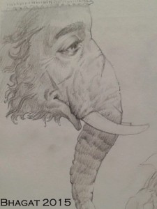 Ganesha, Ganesh, Ganapati, elephant head god,